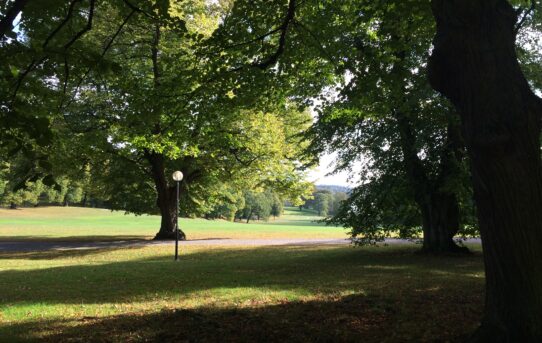Kort besök i Hagaparken