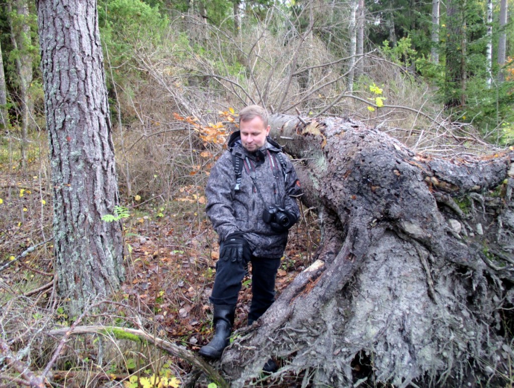 Skogsutflykt vid Domarudden, oktober 2014