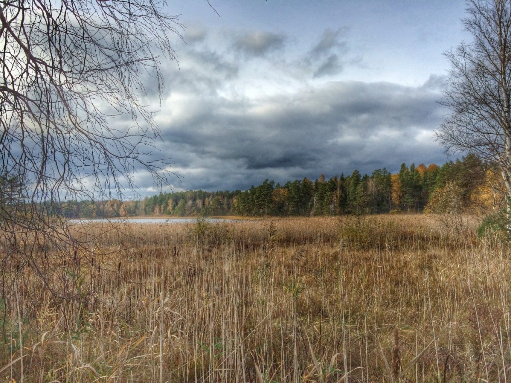 Drängsjön vid Domarudden, oktober 2014
