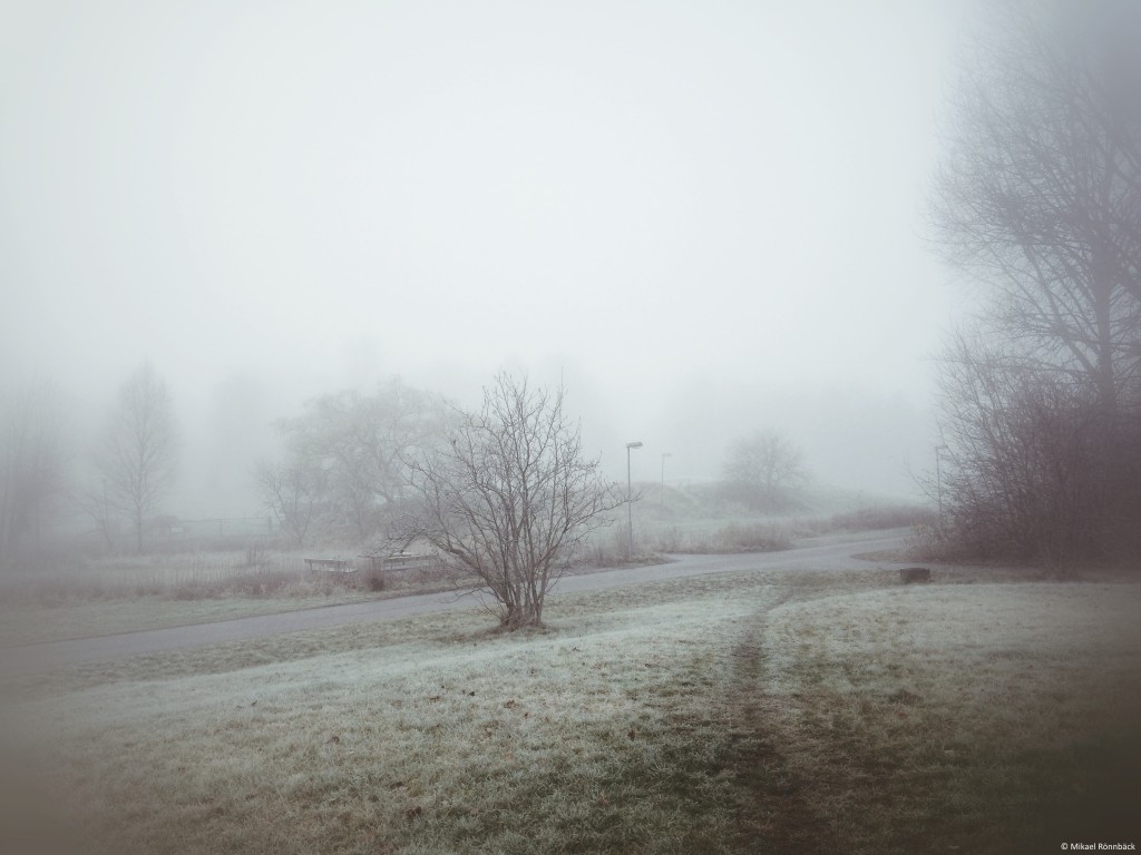 Murkelheim i dimman, november 2014