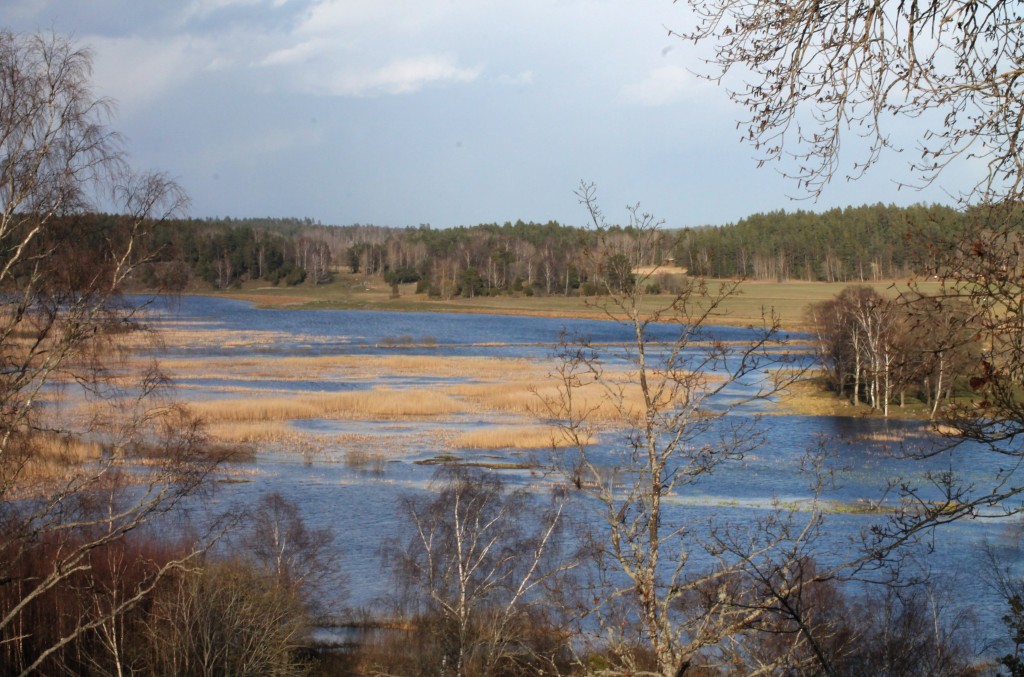 Angarnssjöängens naturreservat, april 2015