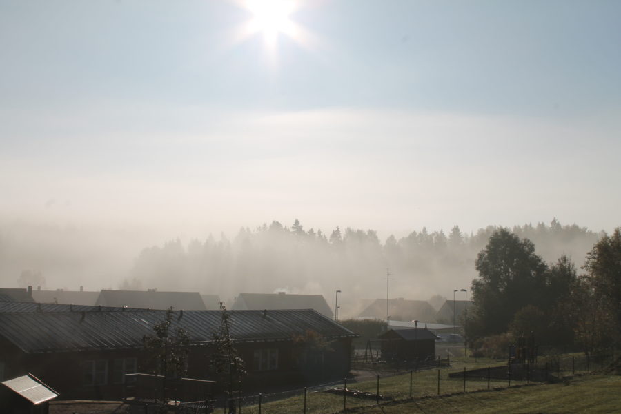 Morgondimma i Skånsta, oktober 2015